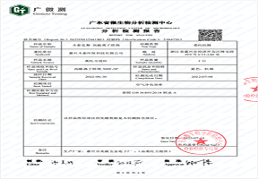 高能离子机器检测报告